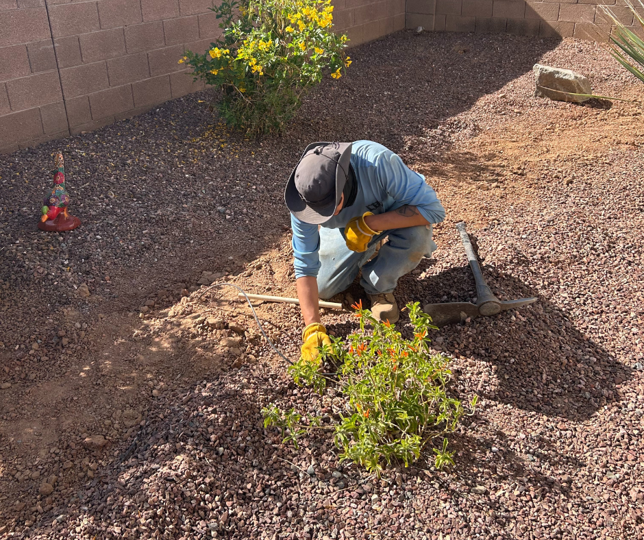 Irrigation Maintenance In Surprise (1)