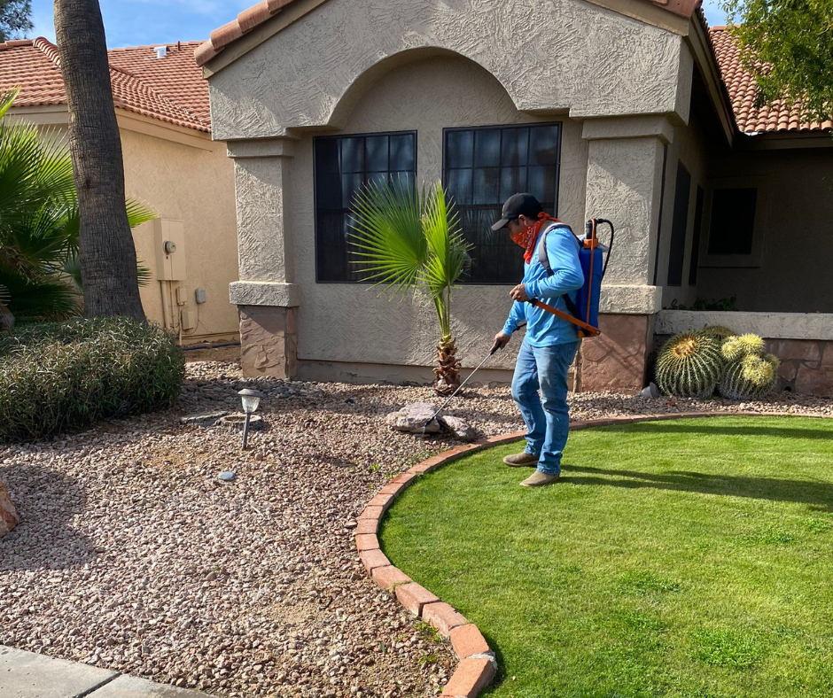 Weed Treatment Phoenix